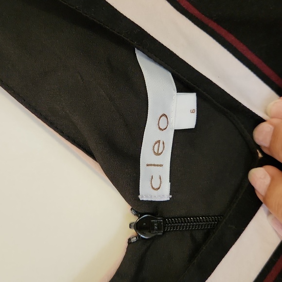 Black and pink striped dress - Picture 6 of 8